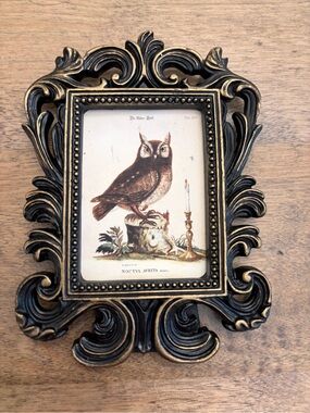 Owl mini print in vintage style ornate frame NEW